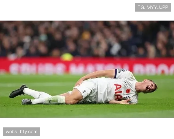 热刺伤病名单多达十人 中轴线核心球员赛季全部报销